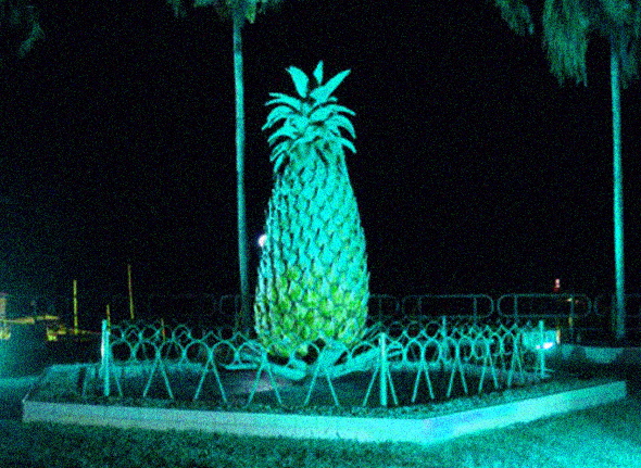 Moonlight-Pineapple